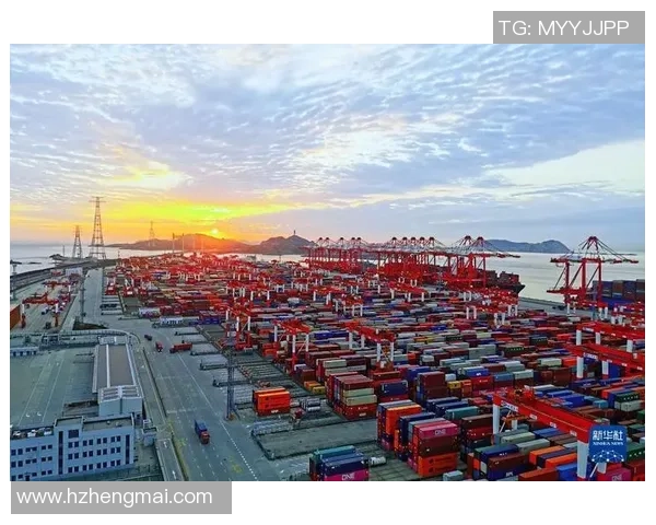 杭州篮球队实力强劲荣登全国耐力排行榜第四名