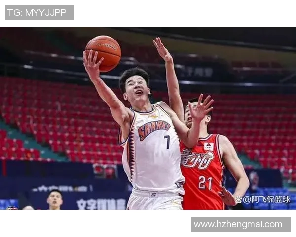 武汉篮球队中路突破革新探讨与未来发展展望