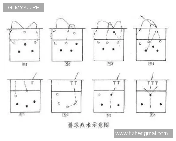 武汉排球队在锦标赛中的速度优势与战术解析